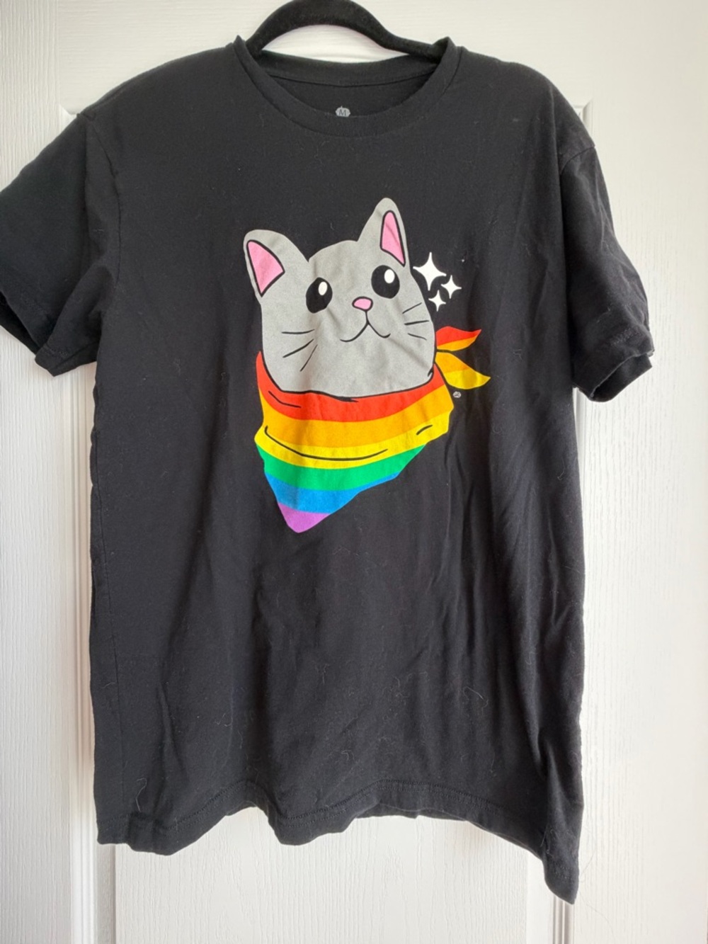 Rainbow 🌈 Cat Graphic Tee